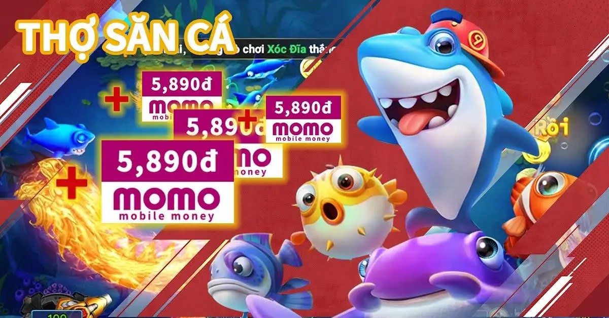 88nn
